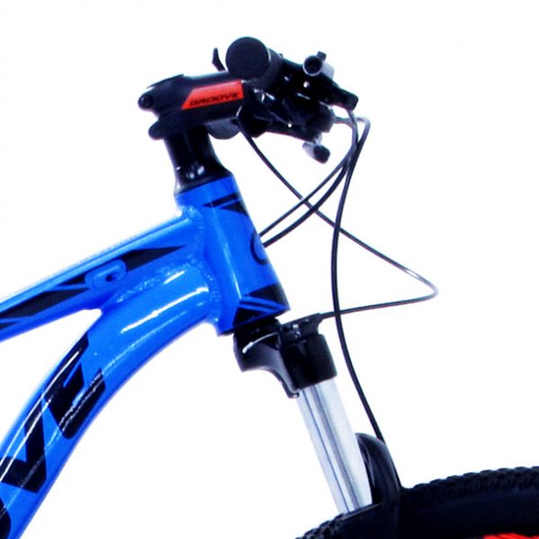 DETALHE_SKA50-2020_C-