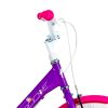 Foto-06-Bicicleta-Groove-Unilover-16