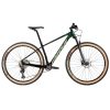 Bicicleta-Groove-Rhythm-7—2022-02